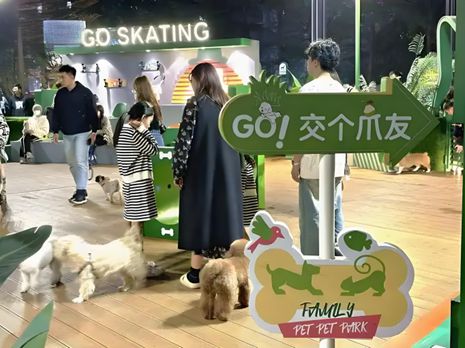 丨宠物坐高铁侯毅下厨房CQ9电子实探派特鲜生(图3)