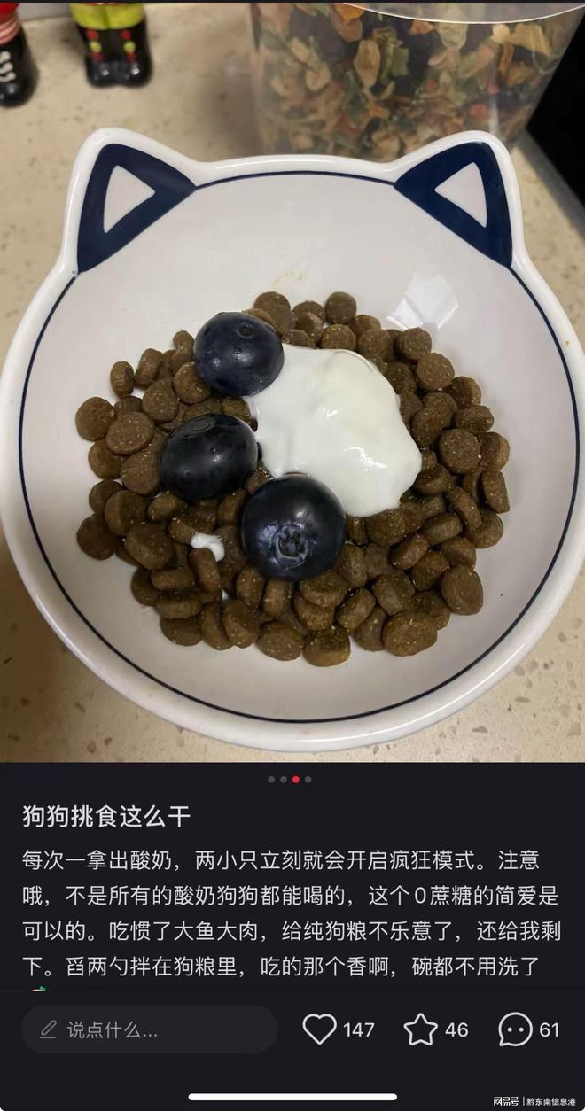 配方”撬动萌宠经济与母婴信任双赛道CQ9电子有限公司简爱酸奶以“纯净(图1)