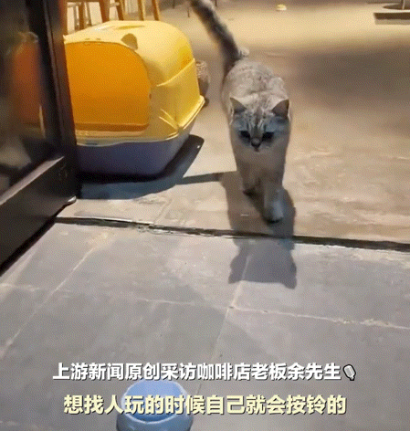 店“服务员”立马上前喊道二楼贵宾两位CQ9电子有限公司网友路过一家咖啡(图1)