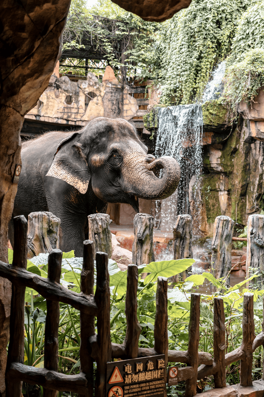 庭畅玩套票连续3天可凭票免费入园！超多主题随便玩！CQ9电子平台网站年度最抵！99元抢长鹿景区4人家(图15)